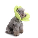 Collier de protection pour animaux de compagnie Collier de protection pour chien à motif floral, S, M, L