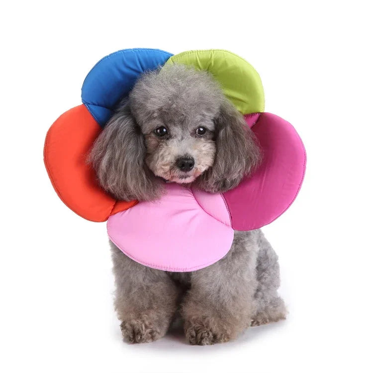 Collier de protection pour animaux de compagnie Collier de protection pour chien à motif floral, S, M, L