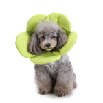Collier de protection pour animaux de compagnie Collier de protection pour chien à motif floral, S, M, L