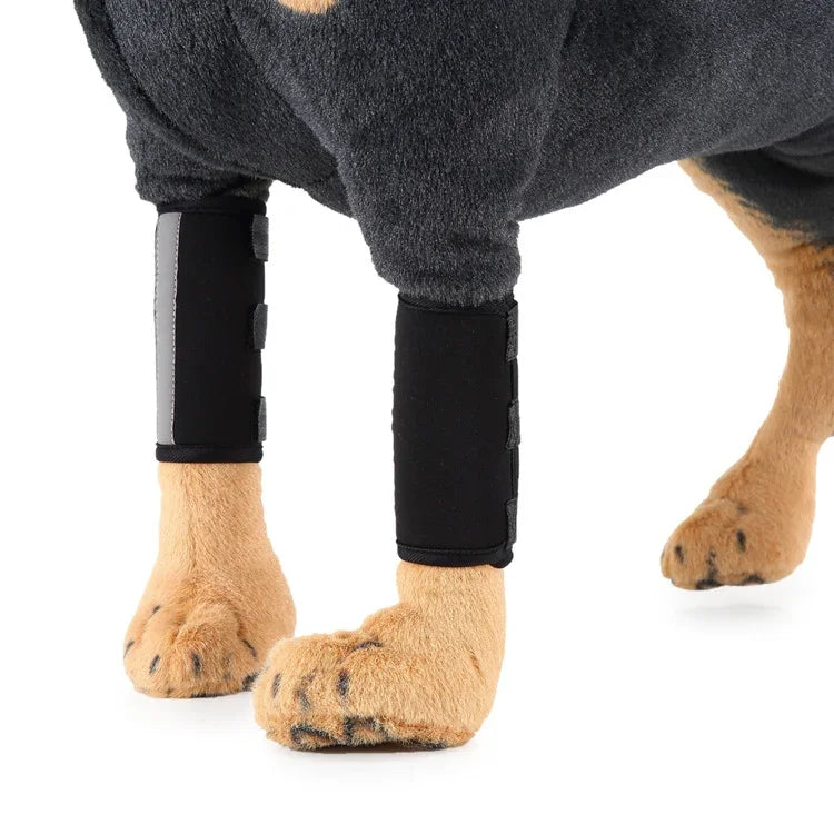Genouillère de protection pour chien après chirurgie, S, M