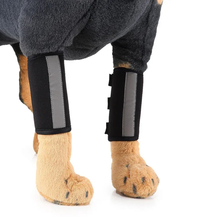 Genouillère de protection pour chien après chirurgie, S, M