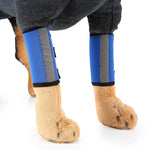 Genouillère de protection pour chien après chirurgie, S, M