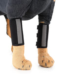 Genouillère de protection pour chien après chirurgie, S, M