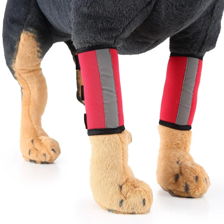 Genouillère de protection pour chien après chirurgie, S, M
