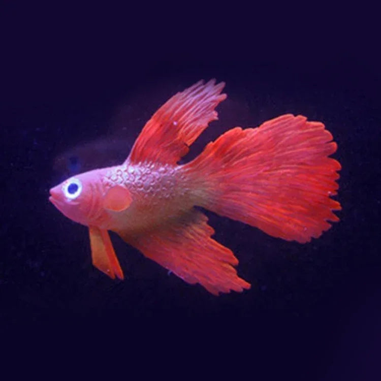 Décorations d'aquarium simulant des poissons lumineux écologiques en silicone coloré, 1 Betta rouge, 2 Betta brun, 3 Betta bleu, 4 Poisson rouge bleu, 5 Poisson rouge rouge, 6 Poisson rouge brun