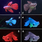 Décorations d'aquarium simulant des poissons lumineux écologiques en silicone coloré, 1 Betta rouge, 2 Betta brun, 3 Betta bleu, 4 Poisson rouge bleu, 5 Poisson rouge rouge, 6 Poisson rouge brun