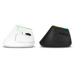 Souris verticale sans fil double mode Bluetooth DELUX M618C 6 boutons 1600 DPI RVB, M618C (blanc), M618C (noir)