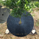 Tissu écologique anti-herbe non tissé pour jardin, couverture de sol respirante et hydratante pouvant réduire le film de jardin fruitier, 25x3cm