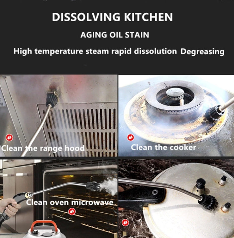Nettoyeur Vapeur Stérilisation à Haute Température avec Réservoir d'Eau 1L, Prise EU 220V, Prise UK 220V, Prise US 110V, Prise AU 220V, Prise US 220V