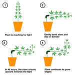 Clip de formation de croissance pour contrôle de pliage des plantes HF-09, décoration de jardin, 15 pièces