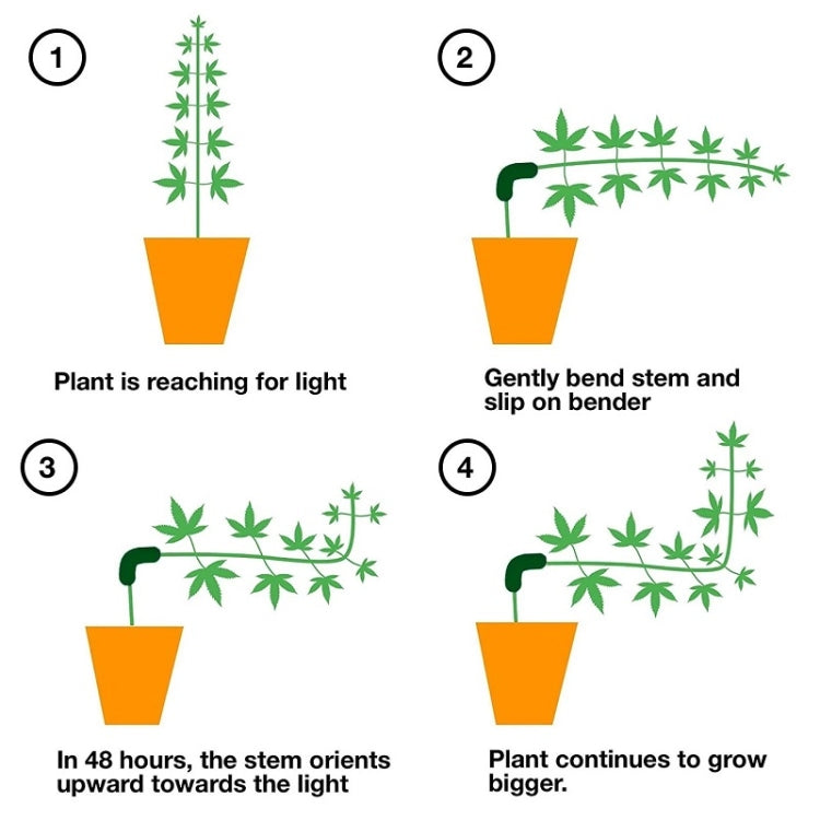 Clip de formation de croissance pour contrôle de pliage des plantes HF-09, décoration de jardin, 15 pièces