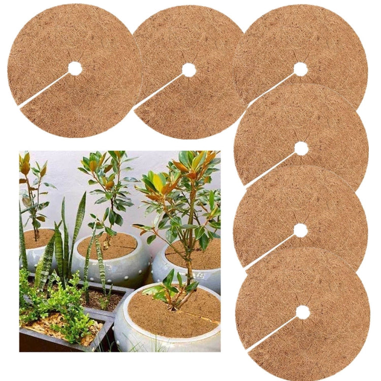 6 PCS/Set tapis plat anti-gel pour racines de plantes en pot en fibre de noix de coco, Taille :, 20cm, 30cm