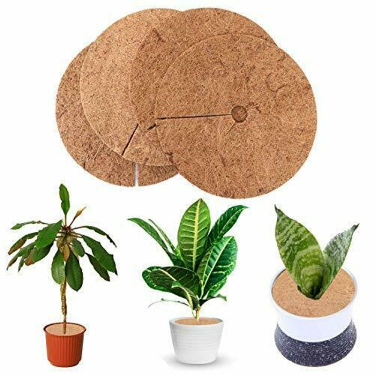 6 PCS/Set tapis plat anti-gel pour racines de plantes en pot en fibre de noix de coco, Taille :, 20cm, 30cm