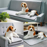 OBL0014 Tapis absorbant lavable pour urine de chien, Taille :, S (Gris), M (Gris), L (Gris), S (Vert), M (Vert), L (Vert), S (Motif os), M (Motif os), L (Motif os), S (Marron), M (Marron), L (Marron), S (Gris foncé), M (Gris foncé), L (Gris foncé)