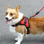 Sangle de poitrine réglable pour chien K9, Taille : XS, S, M