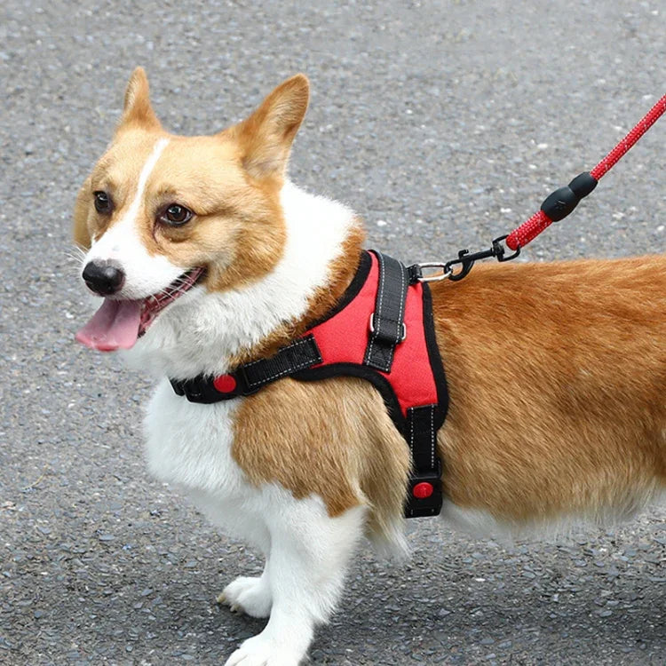 Sangle de poitrine réglable pour chien K9, Taille : XS, S, M