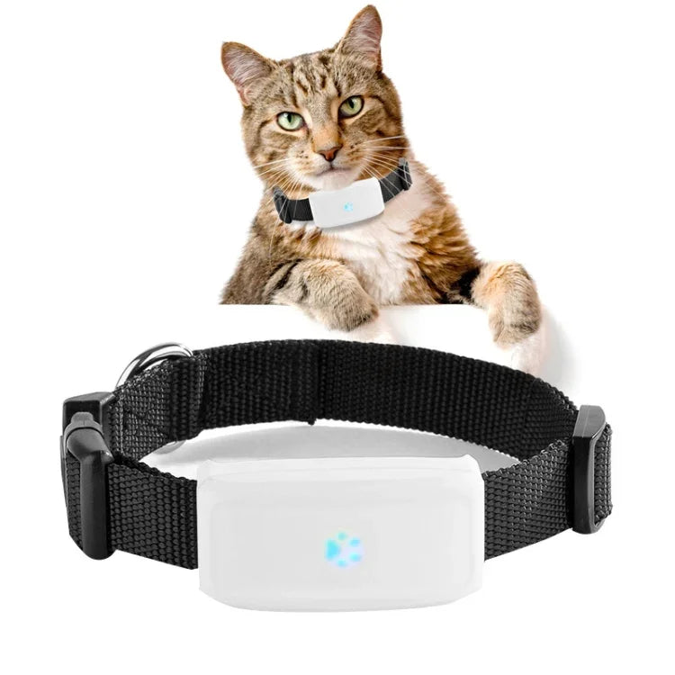 Traceur GPS Étanche pour Animaux 2G TK911, TK911