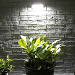 Lampe solaire murale de jardin à induction infrarouge 8 LED, lumière blanche, lumière chaude