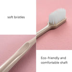 2 boîtes de brosses à dents nano en céramique RAOYI avec manche
