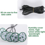 Kit de 5 plateaux de démarrage pour graines de plantes, plateau de semis avec lampe de croissance, noir, vert