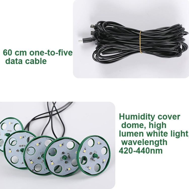 Kit de 5 plateaux de démarrage pour graines de plantes, plateau de semis avec lampe de croissance, noir, vert