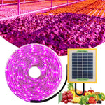 Lampe de remplissage LED spectre complet pour croissance des plantes