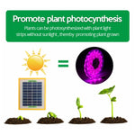 Lampe de remplissage LED spectre complet pour croissance des plantes