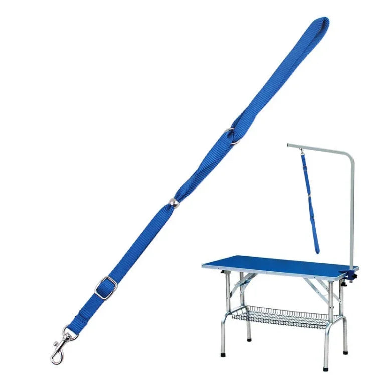 Texte alternatif de l'image