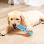 Jouets à mâcher en TPR pour chiens en forme de planche à laver/dentifrice, Bâton de dentition en forme de planche à laver/dentifrice, Planche à laver/dentifrice bleu clair, Planche à laver/dentifrice rose