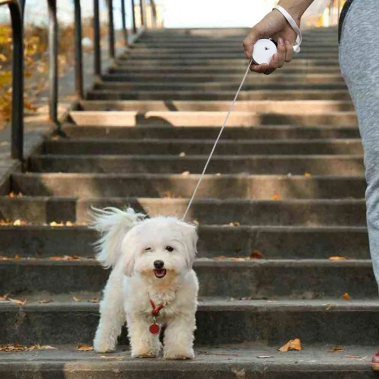 Laisse rétractable automatique pour chien, petit rétracteur pour animaux de compagnie, 2m carré bleu, 2m rond blanc, 2m rond rose, 2m rond bleu, 2m carré blanc, 2m carré rose