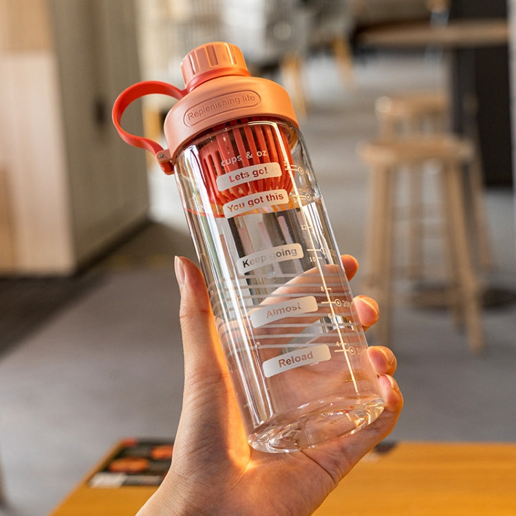 Gourde portable d'été en plastique résistant aux hautes températures avec infuseur à thé, 550 ml, 650 ml