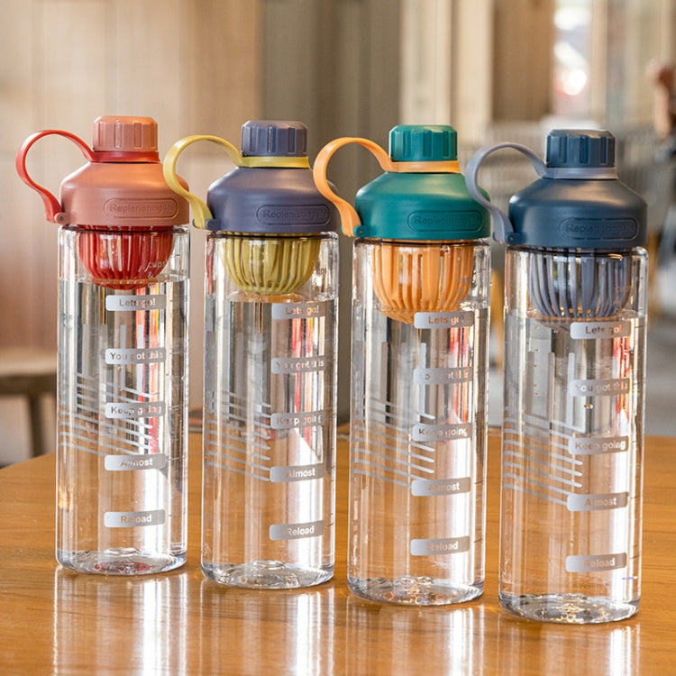Gourde portable d'été en plastique résistant aux hautes températures avec infuseur à thé, 550 ml, 650 ml