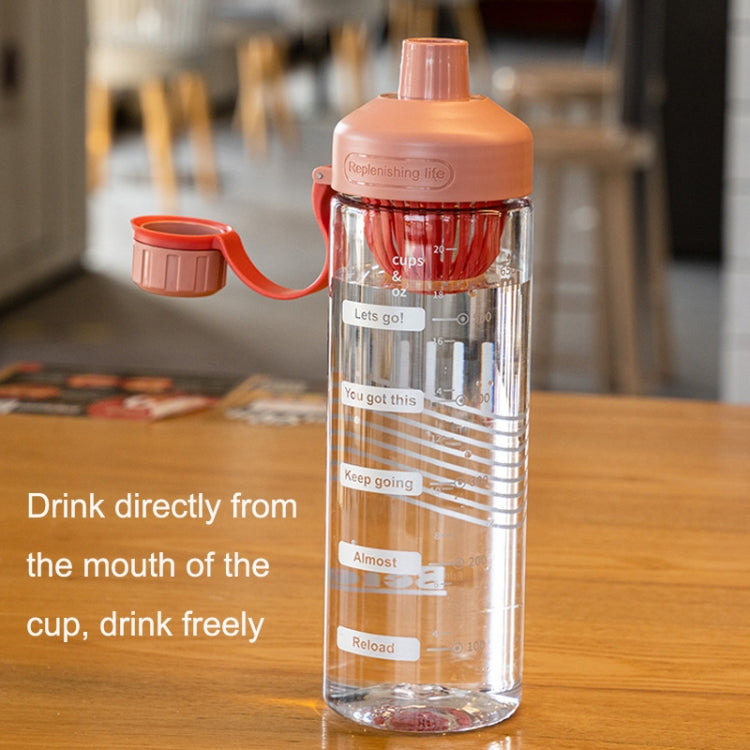 Gourde portable d'été en plastique résistant aux hautes températures avec infuseur à thé, 550 ml, 650 ml