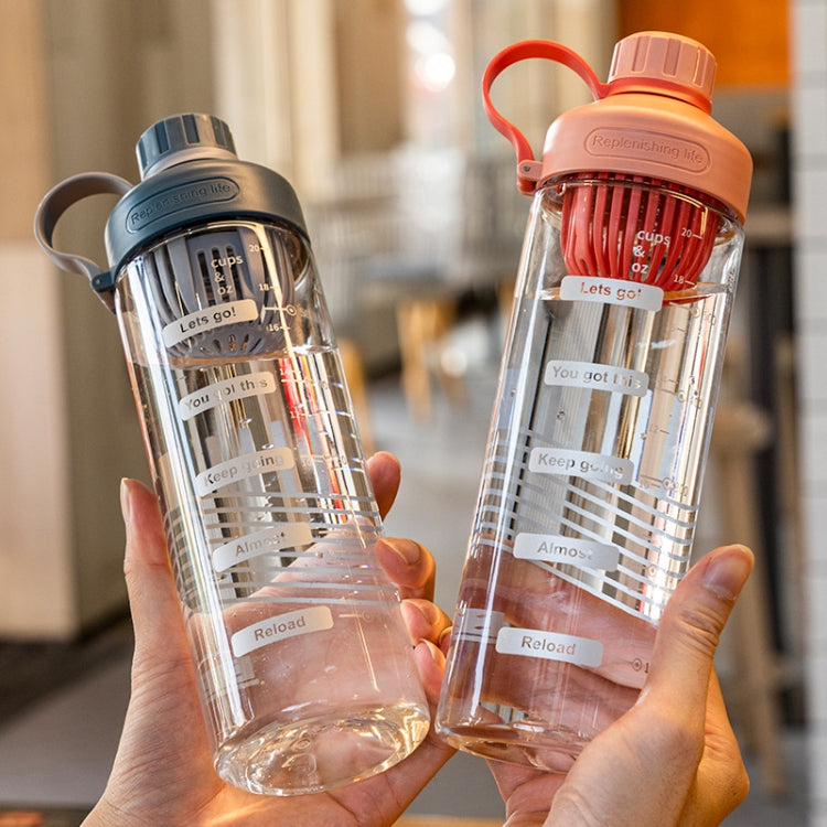 Gourde portable d'été en plastique résistant aux hautes températures avec infuseur à thé, 550 ml, 650 ml