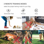 Intelligent Remote Control Dog Trainer Automatic Barking Stop Collar, Collar Black, Collar White