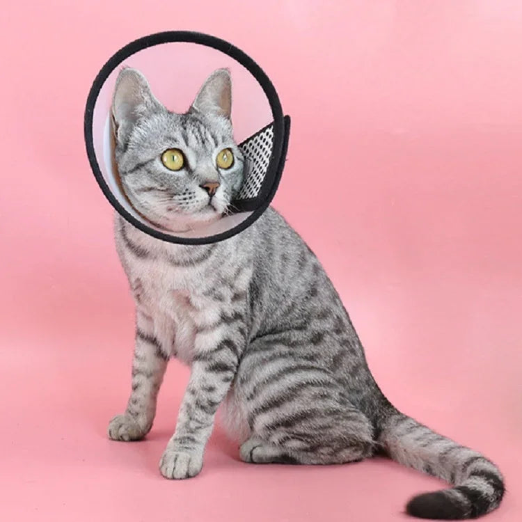Casque de protection pour animaux de compagnie Collier anti-morsure pour chats et chiens après une intervention esthétique et une opération, Taille : N°7/8cm, N°7, N°6, N°5, N°4, N°3