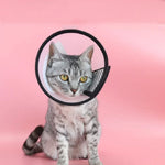 Casque de protection pour animaux de compagnie Collier anti-morsure pour chats et chiens après une intervention esthétique et une opération, Taille : N°7/8cm, N°7, N°6, N°5, N°4, N°3