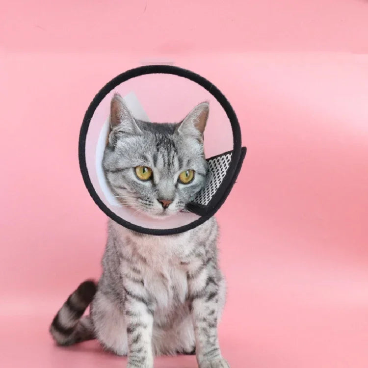Casque de protection pour animaux de compagnie Collier anti-morsure pour chats et chiens après une intervention esthétique et une opération, Taille : N°7/8cm, N°7, N°6, N°5, N°4, N°3