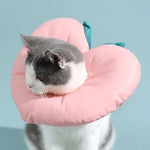 Collier Elizabeth pour chaton, collier anti-léchage, couvre-tête, taille : S, M, L