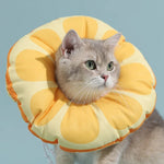 Collier Elizabeth pour chaton, collier anti-léchage, couvre-tête, taille : S, M, L