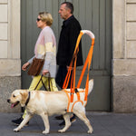Ceinture d'aide à la laisse pour chiens âgés handicapés postopératoires, pattes arrière S, pattes arrière M, pattes arrière L, pattes arrière XL, pattes avant S, pattes avant M, pattes avant L