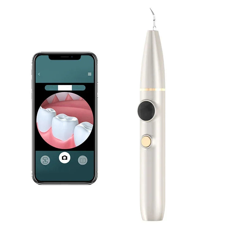 Détartreur et détartreur de tartre, détartreur oral à ultrasons électrique visuel, blanc, vert, champagne