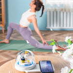 Lampe de table décorative Recharge rapide sans fil Lumière musicale Bluetooth intelligente, Style :, Modèle Bluetooth