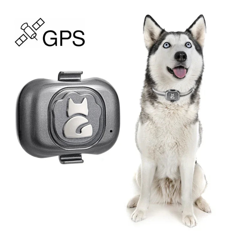 Traceur GPS G16 pour animaux de compagnie, collier intelligent étanche IP67 avec suivi anti-perte pour chien et chat, GPS G16 pour animaux de compagnie