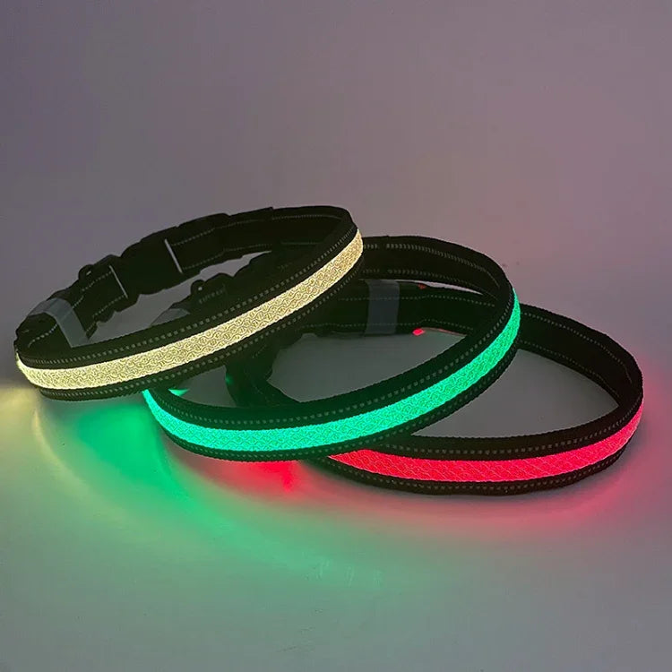 Collier lumineux LED rechargeable, résistant à l'usure et étanche pour animaux de compagnie, Taille :, TP, P, M, G