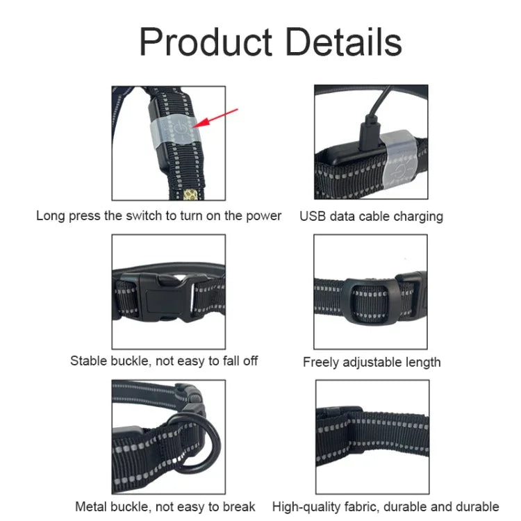 Collier lumineux LED rechargeable, résistant à l'usure et étanche pour animaux de compagnie, Taille :, TP, P, M, G