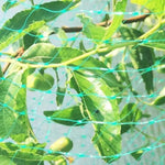 Filet de protection anti-oiseaux pour jardin, filet de protection des plantes et des fruits, 2Mx10M, 4Mx5M, 4Mx10M, 4Mx12M, 5Mx10M, 5Mx20M, 4Mx15M