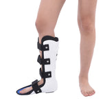 Attelle de fixation plâtrée pour fracture ou entorse de la cheville et du mollet, support de pied, S gauche, S droite, M gauche, M droite, L gauche, L droite