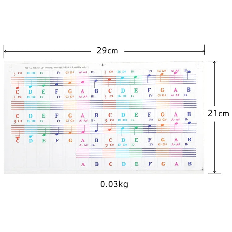 Lot de 5 autocollants de couleur pour clavier de piano enfant, accessoires pour instruments de musique, QT-005, QT-005-A, QT-0302