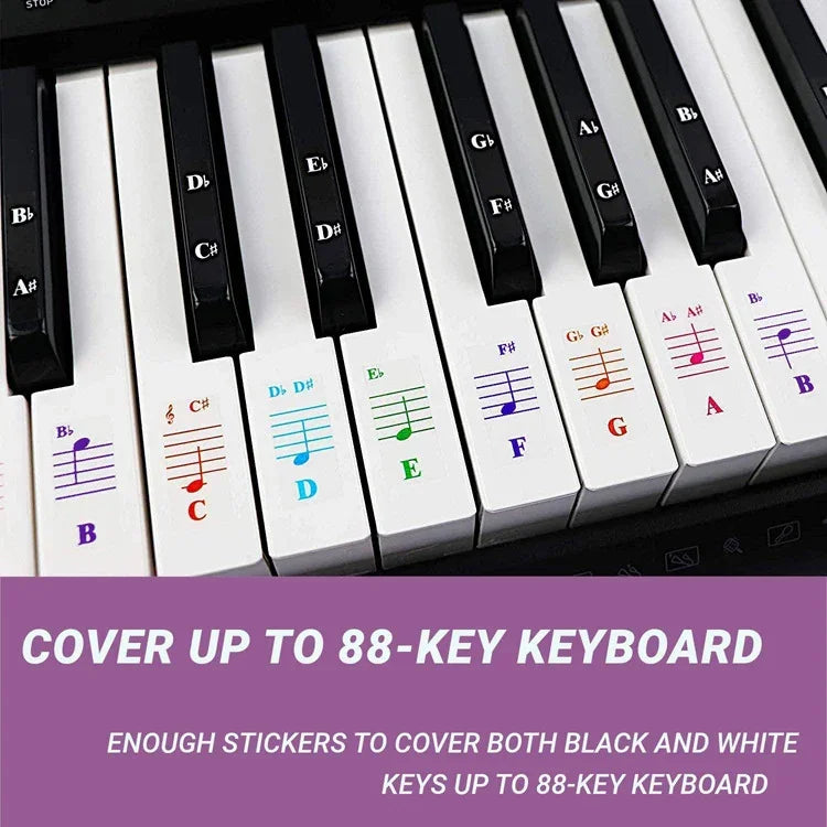 Lot de 5 autocollants de couleur pour clavier de piano enfant, accessoires pour instruments de musique, QT-005, QT-005-A, QT-0302
